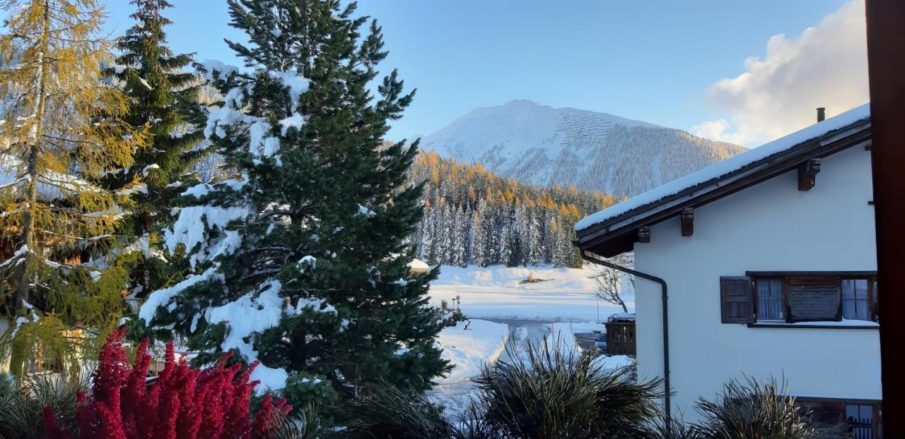 B&B Haus Im Sand Davos Esterno foto